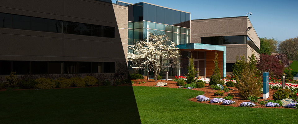 Mapleton Landscapers