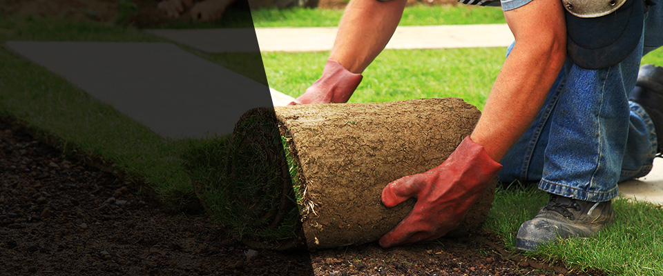 Mapleton Landscapers